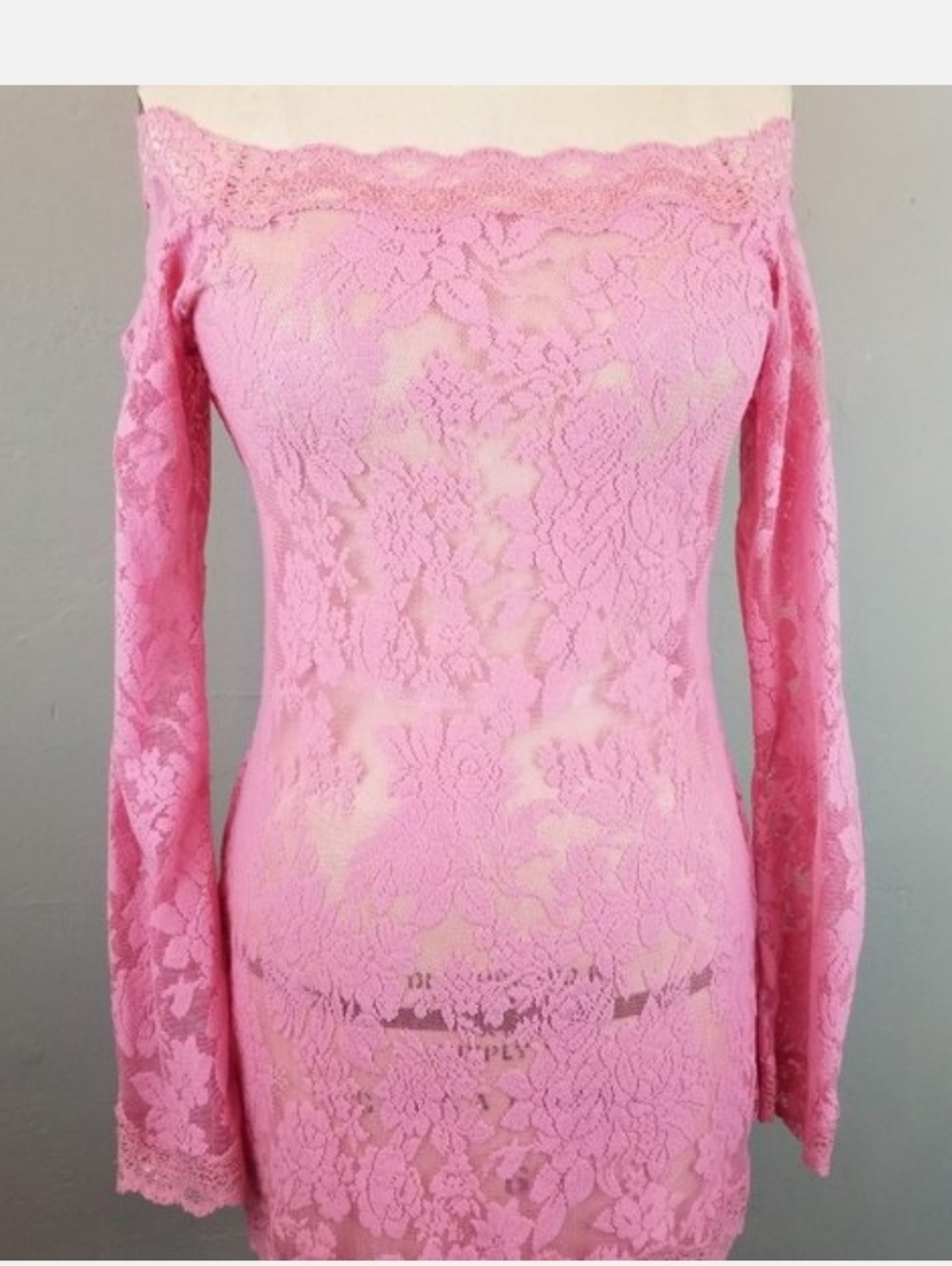 Victoria's Secret Pink Chemise Lace Long Sleeve Sexy Little Things SzM